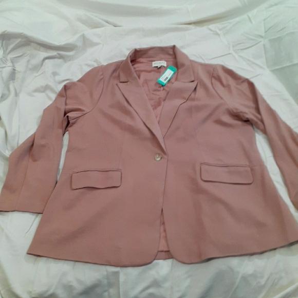 Skies are Blue blazer Rose lined 2X NWT - Picture 1 of 4